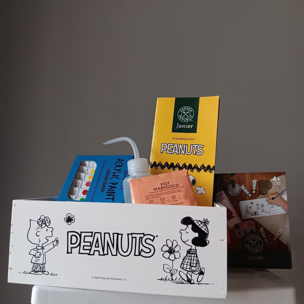 Peanuts Paint & Grow Starter Kit Marigold Seeds Charlie Brown Wooden Planter